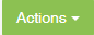 Actions_drop_down_button