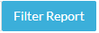 Filter report Button